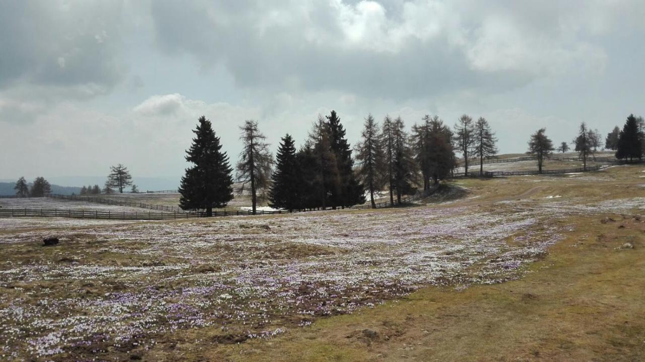 דירות מלטינה Alpenrose מראה חיצוני תמונה